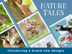 Celebrating British Wildlife Through the Lens Celebrating British Wildlife Through the Lens