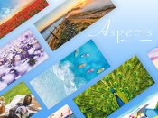 Aspects Aspects
