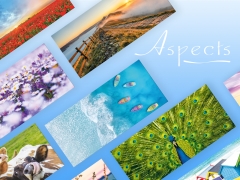 Aspects